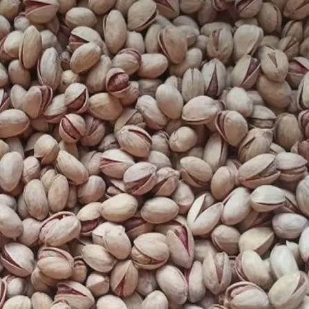 پسته فندقی یکدست ایرانی + گزینه ای اقتصادی برای خرید عمده